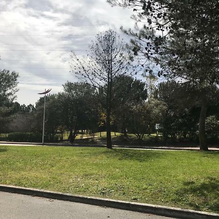 Prazeres Do Golf Apartman Quinta do Anjo Kültér fotó